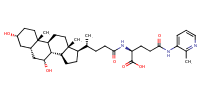 glu-CDCA-aminopyridine_conj5