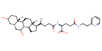 glu-CDCA-aminopyridine_conj4