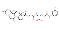 glu-CDCA-aminopyridine_conj26