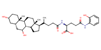 glu-CDCA-aminopyridine_conj25