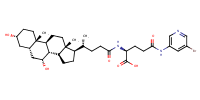 glu-CDCA-aminopyridine_conj21