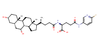 glu-CDCA-aminopyridine_conj20