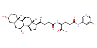 glu-CDCA-aminopyridine_conj19