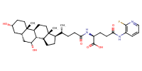 glu-CDCA-aminopyridine_conj18
