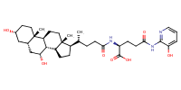 glu-CDCA-aminopyridine_conj16