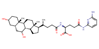 glu-CDCA-aminopyridine_conj15