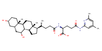 glu-CDCA-aminopyridine_conj10