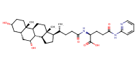 glu-CDCA-aminopyridine_conj1
